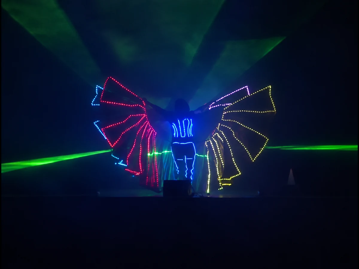 LED Wings